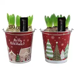 Carrefour Jacinthes offre