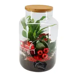 Carrefour Terrarium 2 plantes offre