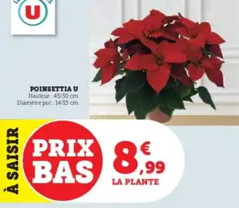 U Express Poinsettia u offre
