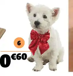 Gifi Noeud papillon pour chien offre