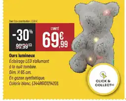 Bricorama Ours lumineux offre
