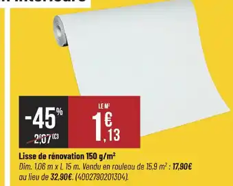 Lisse de rénovation 150 g/m²