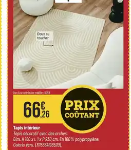 Bricorama Tapis intérieur offre