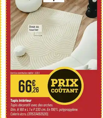 Bricorama Tapis intérieur offre