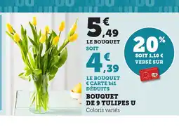 Bi1 Bouquet de 9 tulipes u offre
