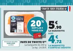 Bi1 Pave de truite u offre