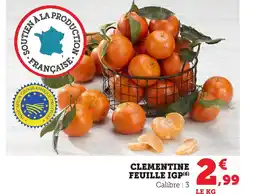 Bi1 Clementine feuille igp offre