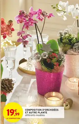Intermarché Hyper Composition d'orchidées et autre plante offre