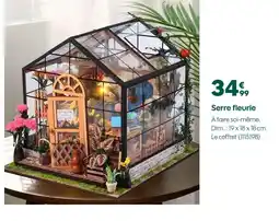 Truffaut Serre fleurie offre