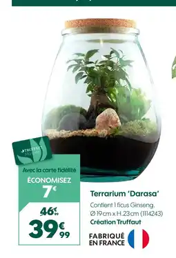 Truffaut Création truffaut terrarium 'darasa' offre