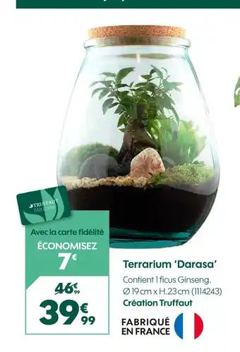 Truffaut Création truffaut terrarium 'darasa' offre