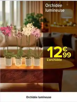 Carrefour Orchidée lumineuse offre