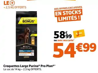 Jardiland Purina - croquettes large pro plan offre