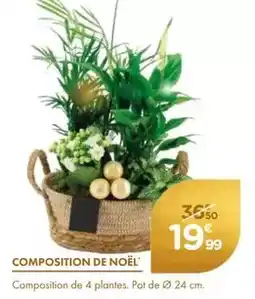 Point Vert Composition de noel offre