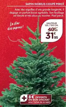 Point Vert Sapin nobilis coupé percé offre