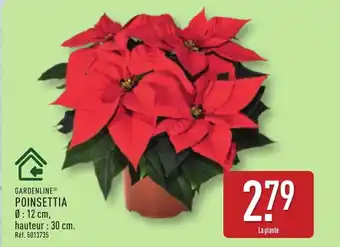 ALDI GARDENLINE Poinsettia offre