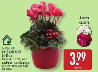 ALDI GARDENLINE Cyclamen offre