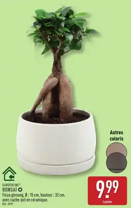 ALDI GARDENLINE Bonsaï offre