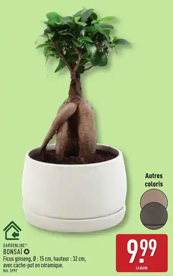 ALDI GARDENLINE Bonsaï offre