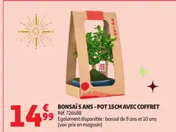 Auchan Bonsai 5 ans - pot avec coffret offre