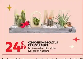 Auchan Composition de cactus et succulentes offre