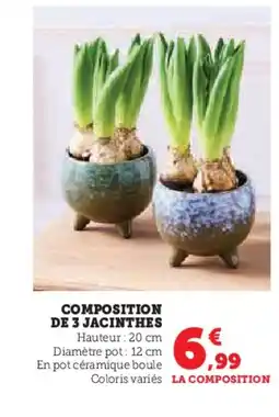 Hyper U Composition de 3 jacinthes offre