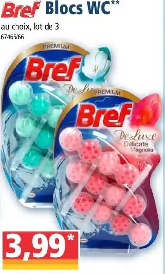 Norma Blocs WC offre