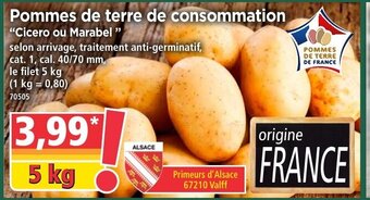 Norma Pommes de terre de consommation offre