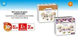Coccinelle Supermarché Mini pots de glace häagen-dazs offre
