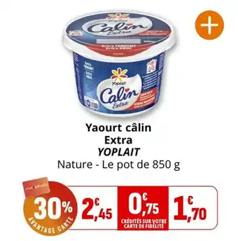 Coccinelle Supermarché Yaourt câlin extra yoplait offre