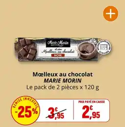 Coccinelle Supermarché Moelleux au chocolat marie morin offre