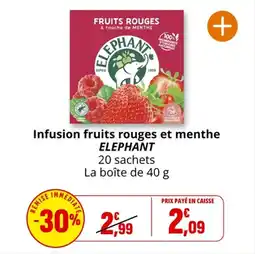 Coccinelle Supermarché Infusion fruits rouges et menthe elephant offre
