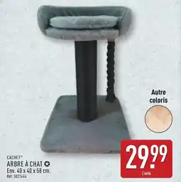 ALDI CACHET Arbre à chat offre