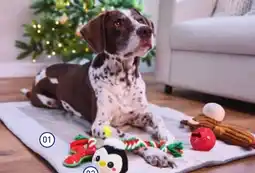 ALDI CACHET & ROMEO Tapis pour animaux offre