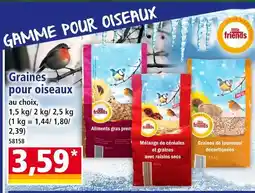 Norma Little friends graines pour oiseaux offre