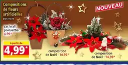 Norma Sac kraft poinsettia offre