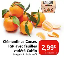 Colruyt Clémentines corses igp avec feuilles variété caffin offre