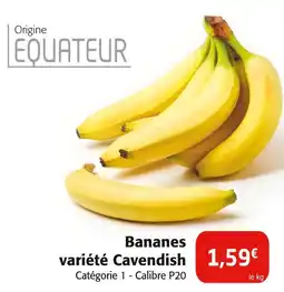 Colruyt Bananes variété cavendish offre