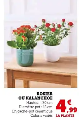 Super U Rosier offre