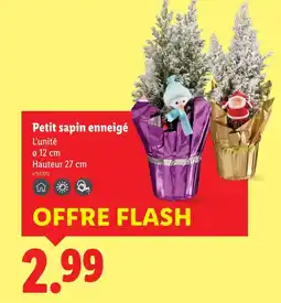 Lidl Petit sapin enneigé offre