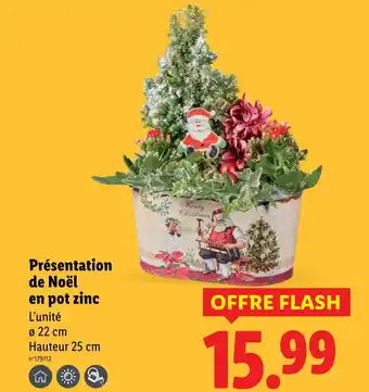 Lidl Présentation de noël en pot zinc offre