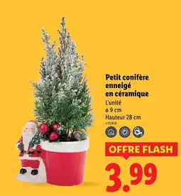 Lidl Petit conifère enneigé en céramique offre