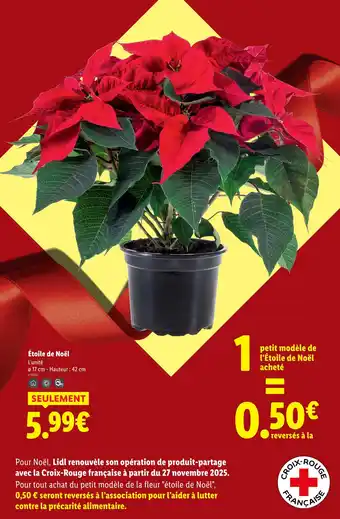 Lidl Étoile de noël offre