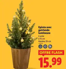 Lidl Epicéa avec guirlande lumineuse offre