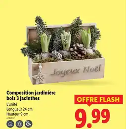 Lidl Composition jardinière bois 3 jacinthes offre