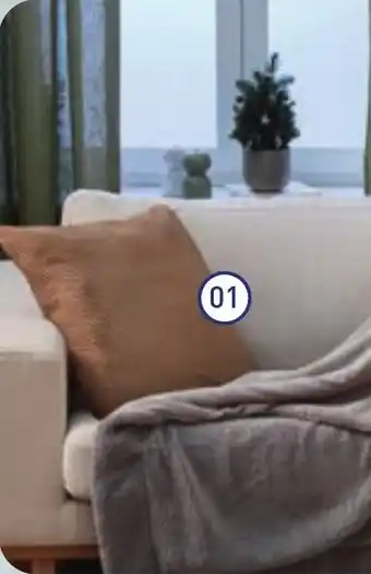 ALDI HOME CREATION Coussin velours offre