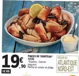 E.Leclerc Pinces de tourteau offre