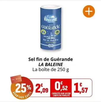 Coccinelle Supermarché Sel fin de guérande la baleine offre