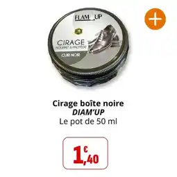 Coccinelle Supermarché Cirage boîte noire diam'up offre