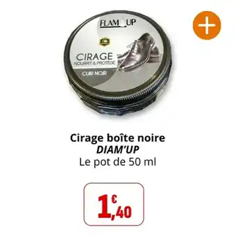 Coccinelle Supermarché Cirage boîte noire diam'up offre